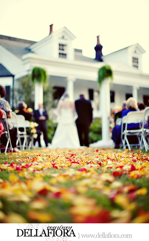 wedding031