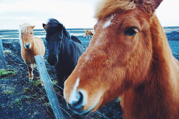 Processed with VSCO with f2 preset